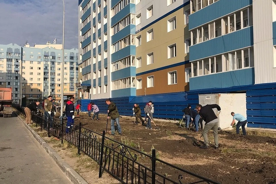 В Салехарде озеленили еще один двор Фото: salekhard.org