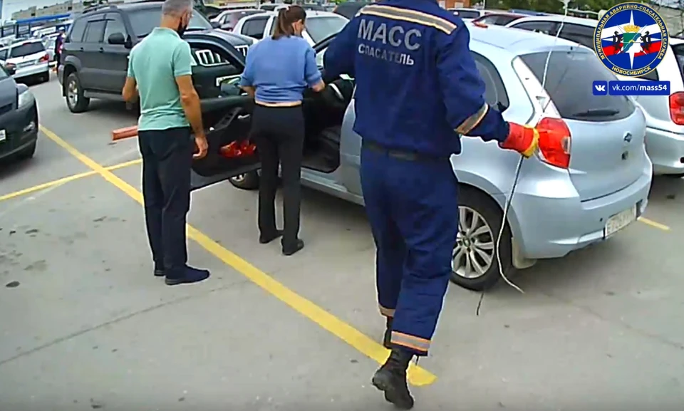 Вся спасательная операция заняла несколько минут. Фото: стоп-кадр