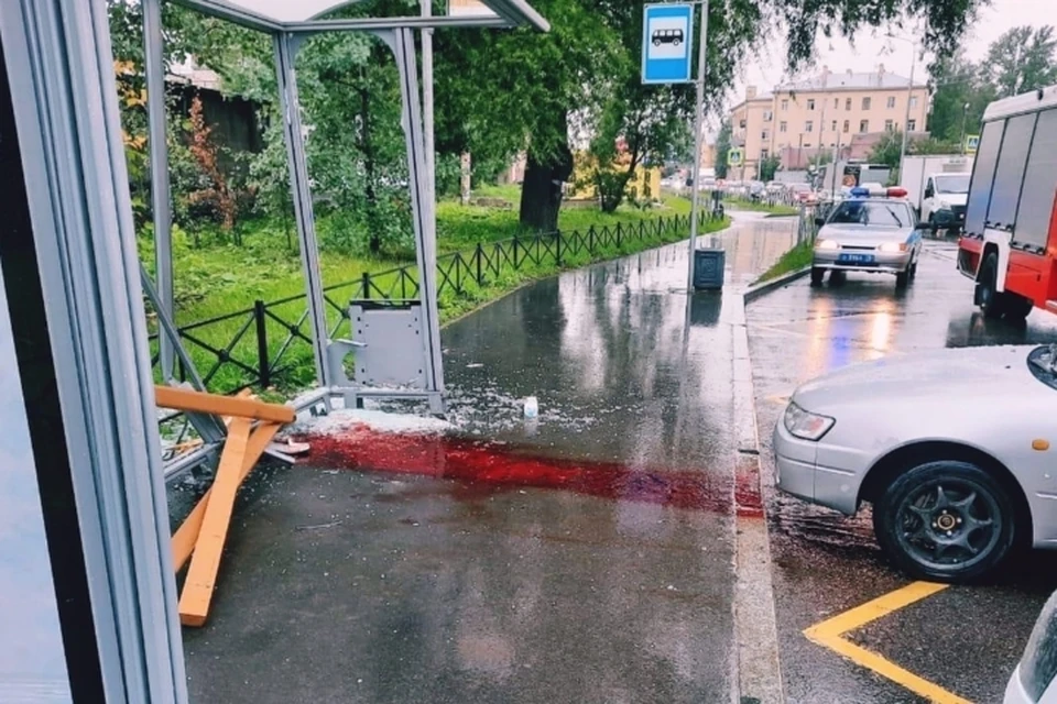 "Тойтота" сбила пенсионерку на остановке в Санкт-Петербурге. Фото: vk.com/dorinspb