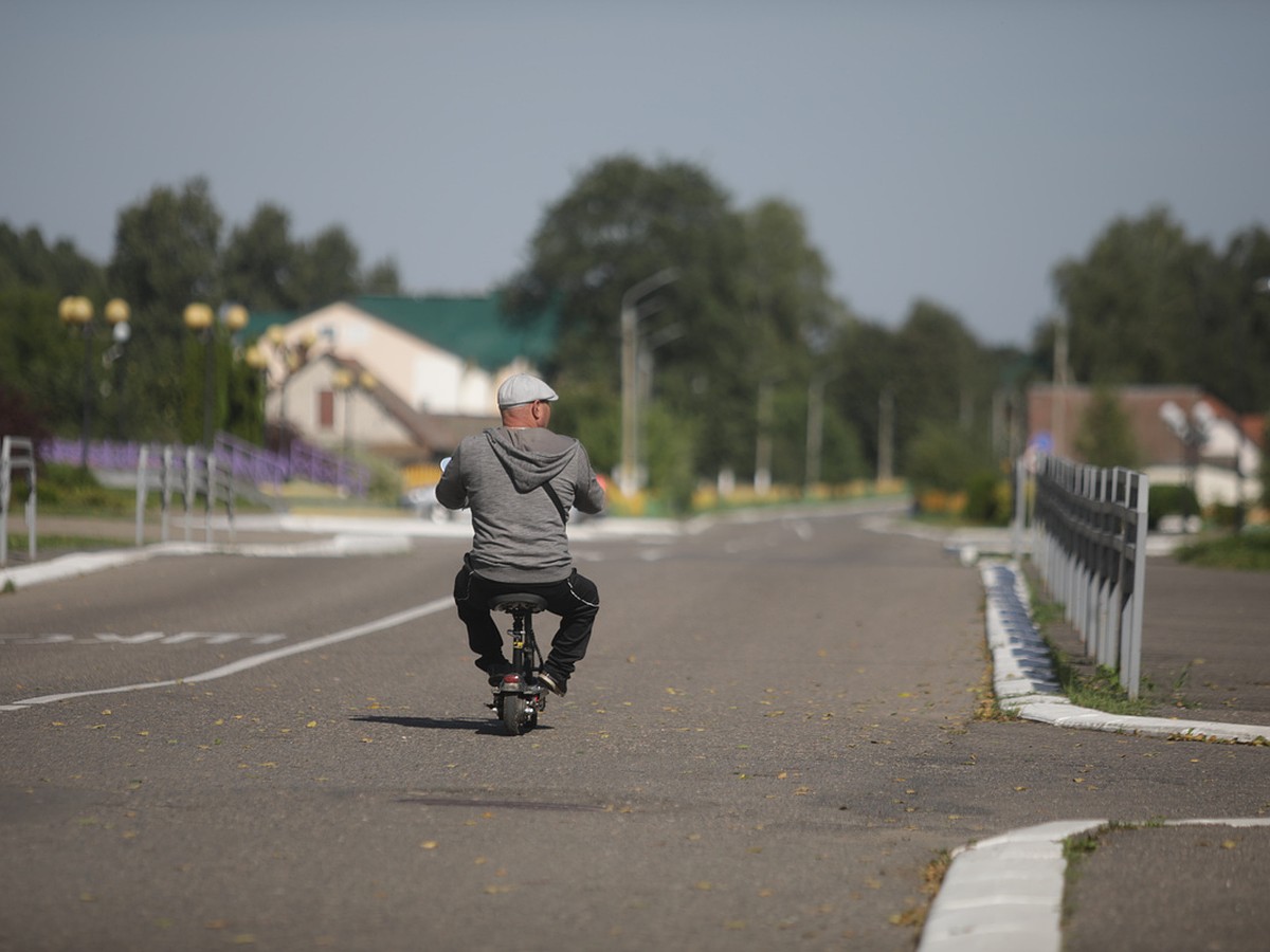 Родина Лукашенко — как на картинке, даже лес подстрижен. И все молчат. Но  есть и свой оппозиционер - KP.RU