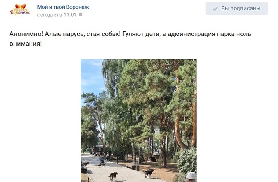 Страница сообщества "Мой и твой Воронеж" соцсети "Вконтакте"