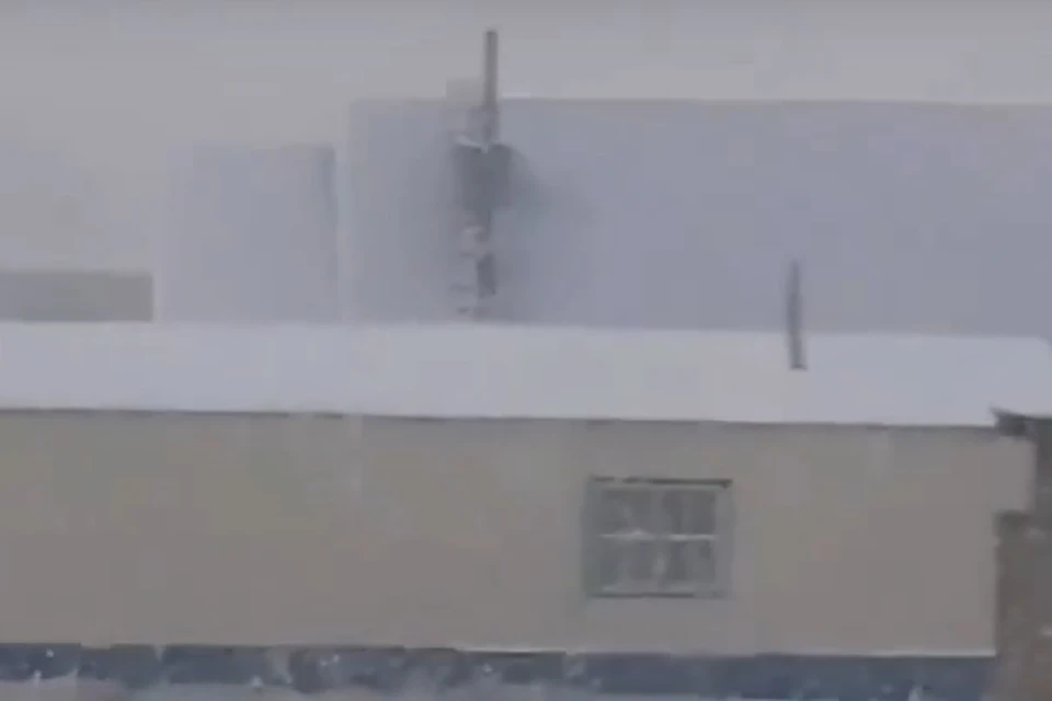 Снегом замело алтайское село. Фото: скриншот с видео