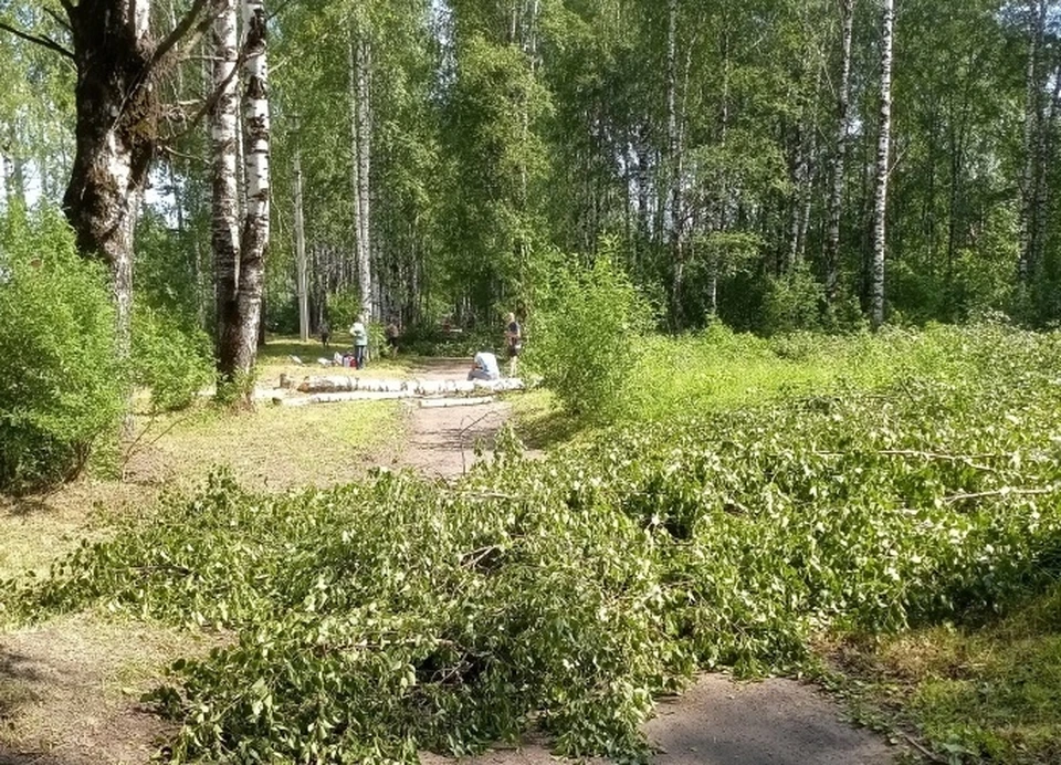 Еще в июле на месте строительства вырубили деревья.