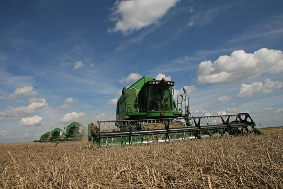 По урожайности зерновых и зернобобовых культур Калининградская область находится в числе лидеров.