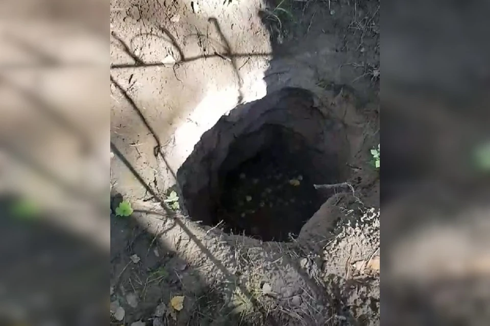 Могилу разрыли глубоко, но гроб не вскрывали. Фото: стоп-кадр