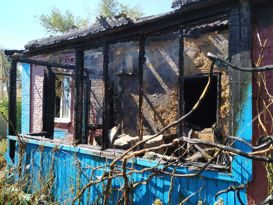 Фото: пресс-служба ПАСС СК