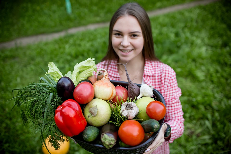 Овощи богаты различными полезными веществами, многие из них низкокалорийны