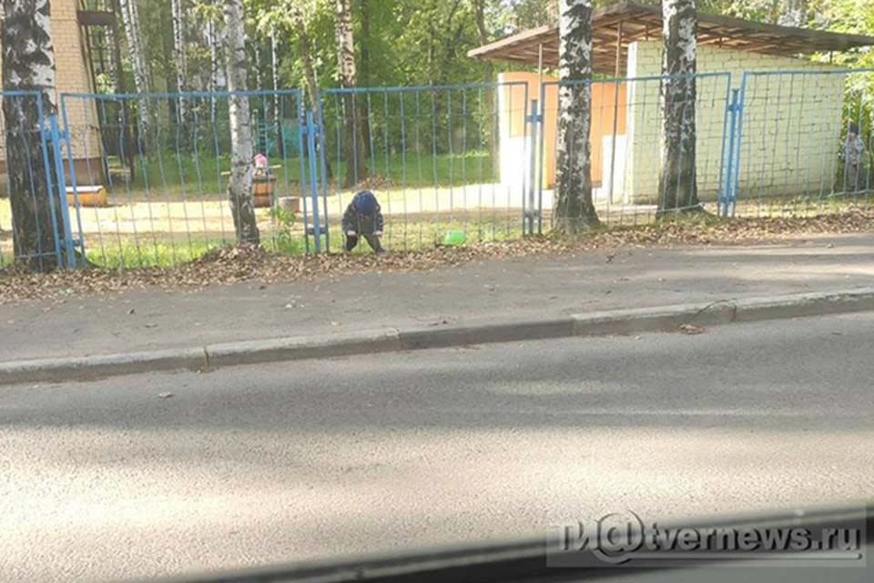 Выбраться из забора мальчику помог прохожий Фото: ТИА