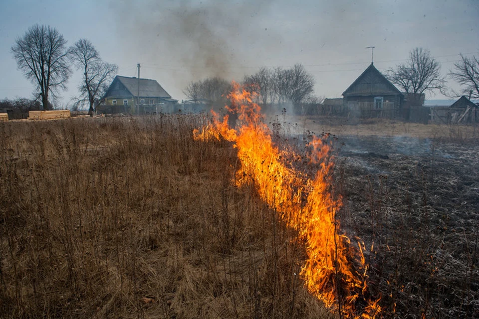 Огонь с полей перекидывался на дома и постройки. Фото: МЧС ДНР