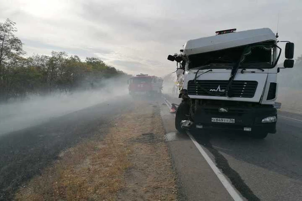 Фото предоставлено ГУ МВД по Воронежской области