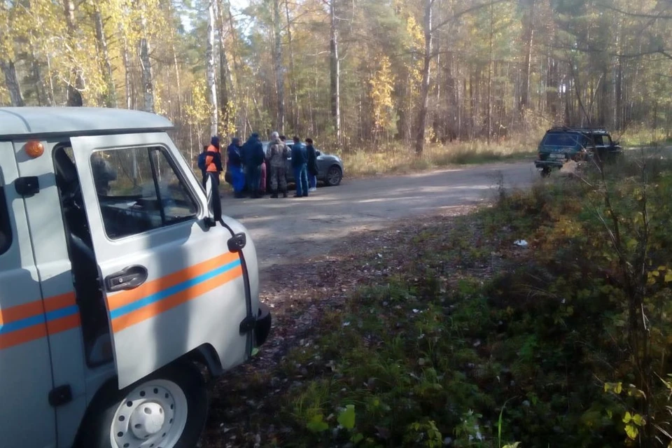 Спасатели оперативно организовали масштабную поисковую операцию