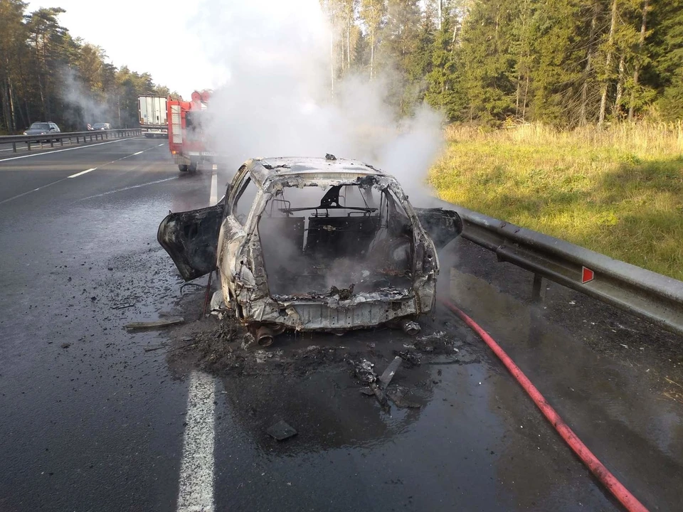 Водителю стали сигналить другие автомобилисты