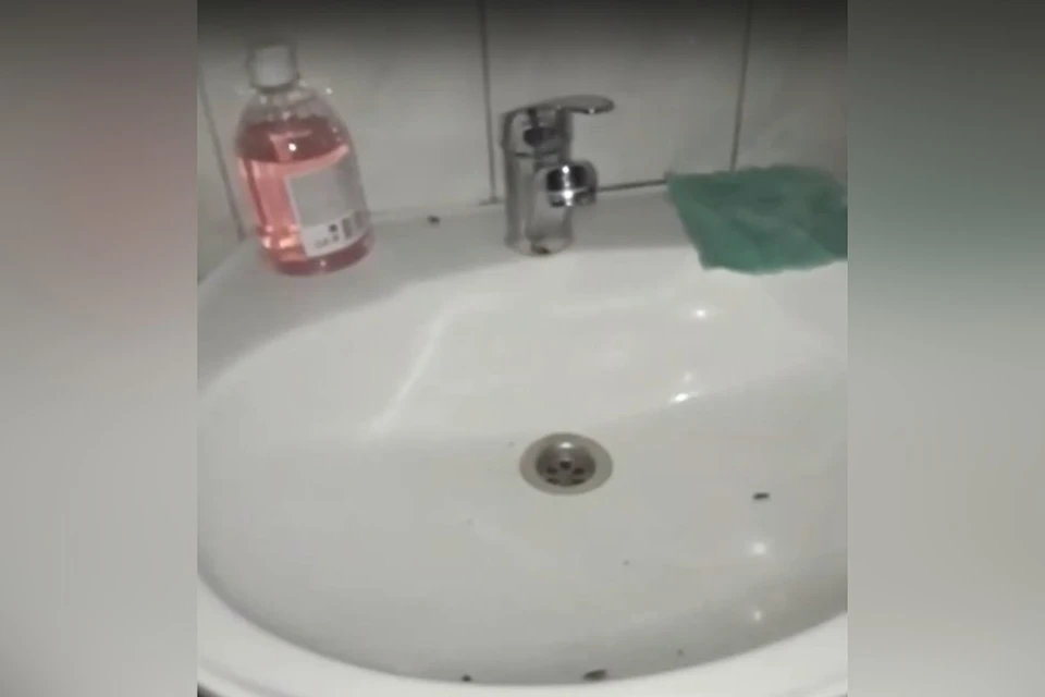 В кемеровской больнице по спящей пациентке ползали тараканы. Фото: кадр видео Инцидент Кузбасс/ vk.com