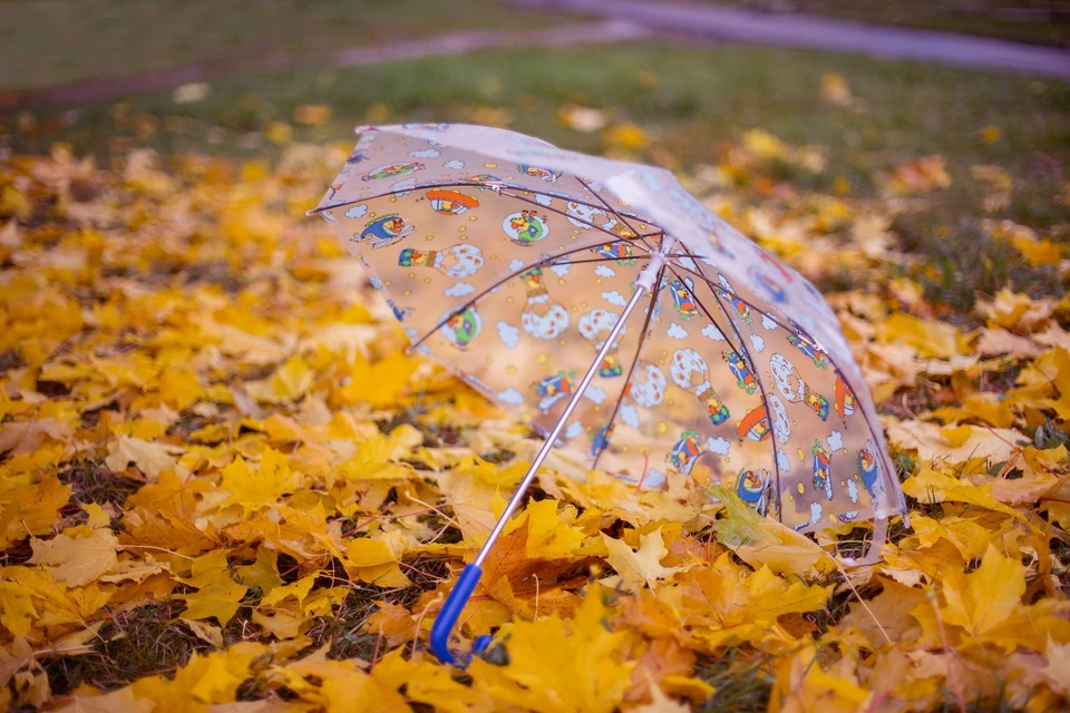 8 октября в Ижевске переменная облачность и до +11°С. Фото: pixabay.com
