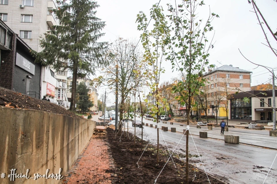 «Живую изгородь» начали высаживать на улице Николаева в Смоленске. Фото: администрация г. Смоленска.