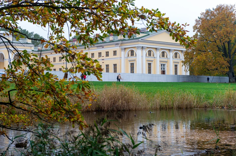 Александровский дворец начали реставрировать в 2012 году