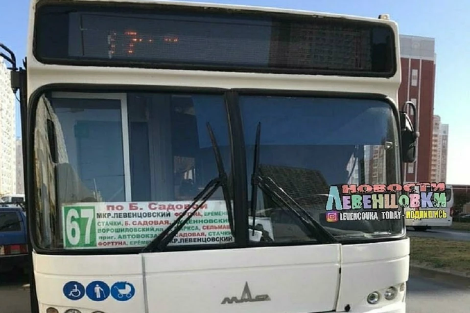 Водителя ростовского автобуса поблагодарили за помощь инвалиду. Фото: соцсети