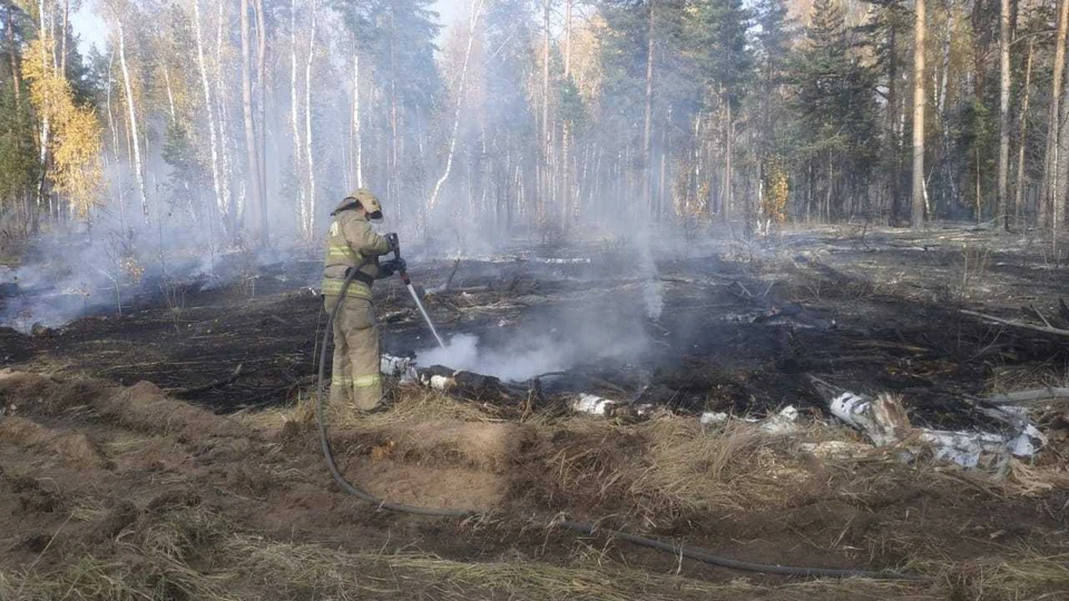 Огонь тушат 136 человек и 37 единиц техники