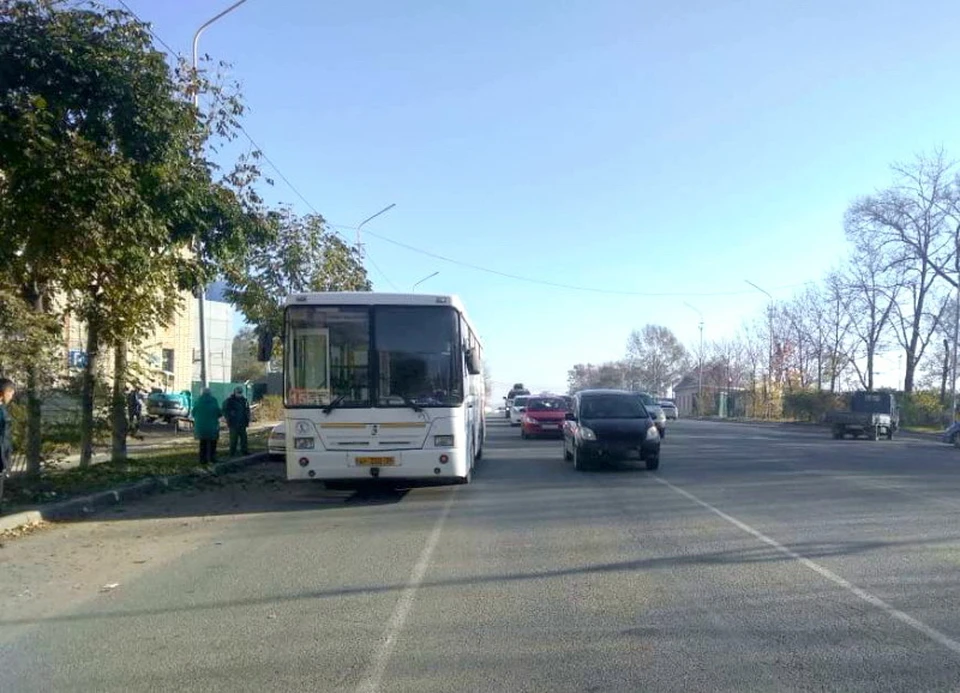 Водитель маршрутного автобуса НефАЗ экстренно затормозил, из-за чего пострадали пассажиры в салоне. Фото: пресс-служба УМВД России по Приморскому краю России по Приморскому краю