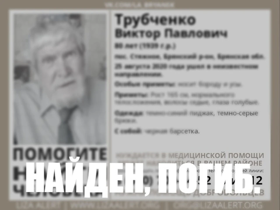 Фото: «Поисковый отряд «ЛизаАлерт» Брянской области» в vk.com.