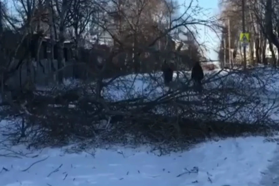 На севере Хабаровского края сняли видео последствий первого снега