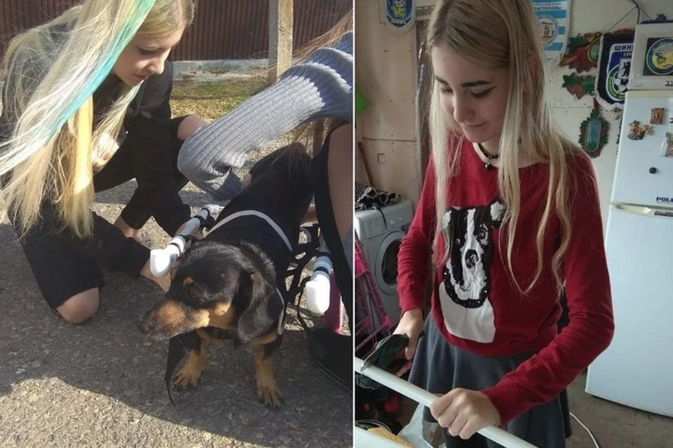 Кристине 16 лет, и она делает коляски для собак-инвалидов.