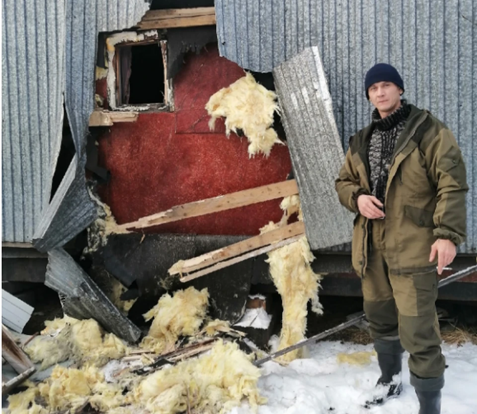 В понедельник, 19 октября, на место происшествия приезжал хозяин, который решил обратиться к егерю для отстрела.