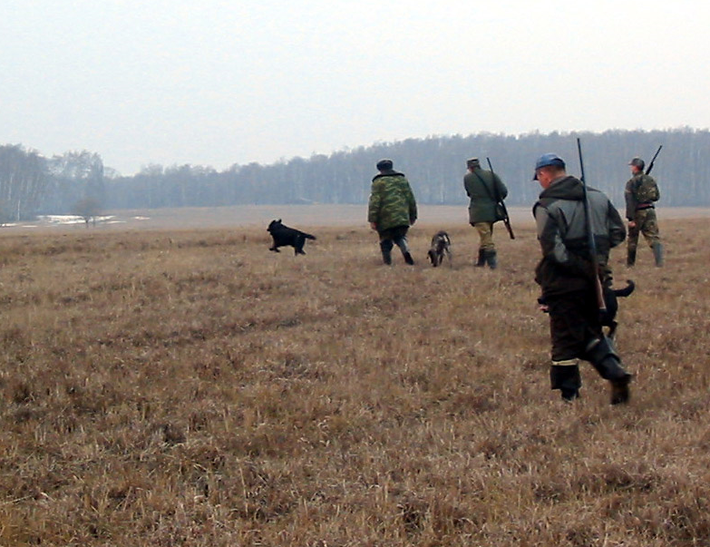 Новые изменения затронут также и коллективную охоту