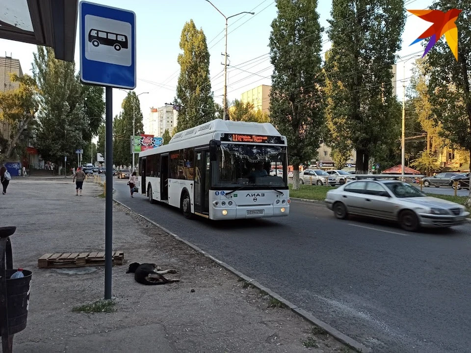 В автобусе №11 орудовал карманник