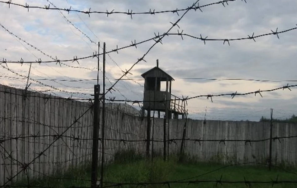 В музее-заповеднике временно ограничат посещение выставок в помещениях.