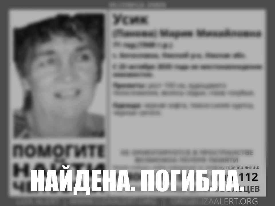 Фото: «ЛизаАлерт»