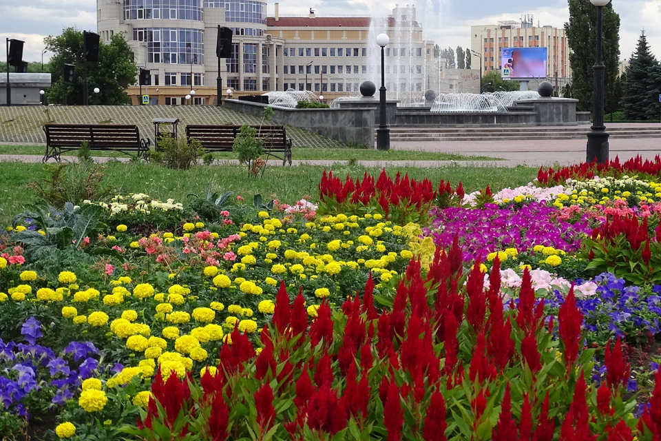 В Липецке преобразятся площади Петра Великого и Театральная