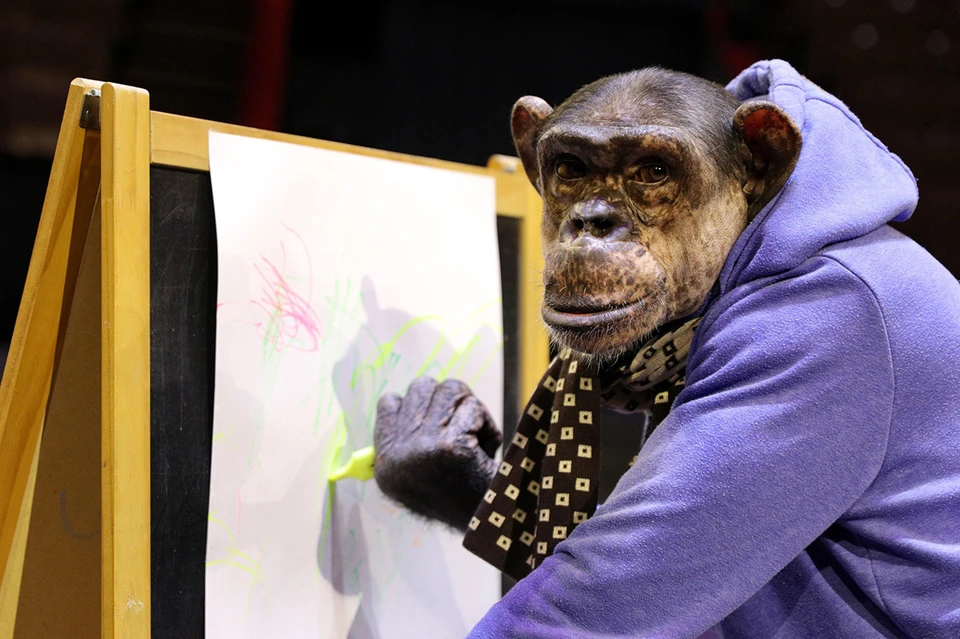 Картины с обезьянами