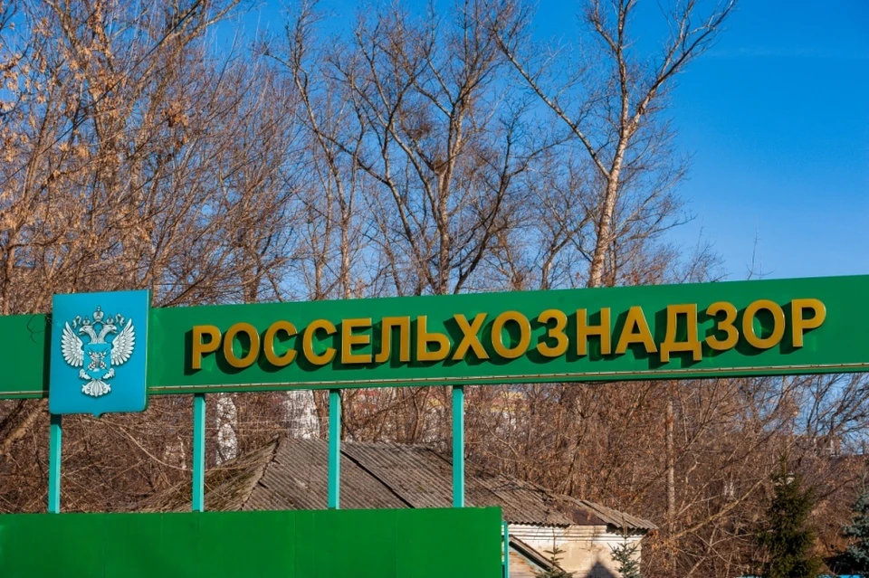 В Орловской области с продажи сняли почти сорок килограмм рыбы