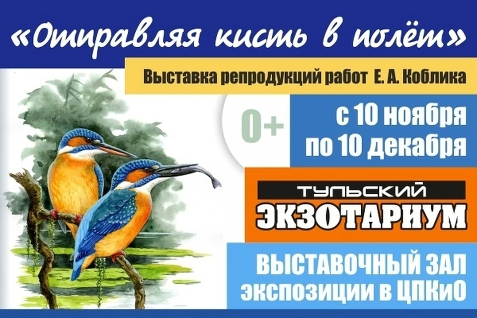 В тульском экзотаруме открылась выставка "Отправляя кисть в полет"