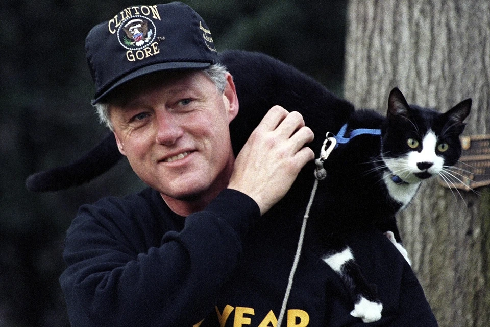 Билл Клинтон въехал в Белый дом с котом Соксом