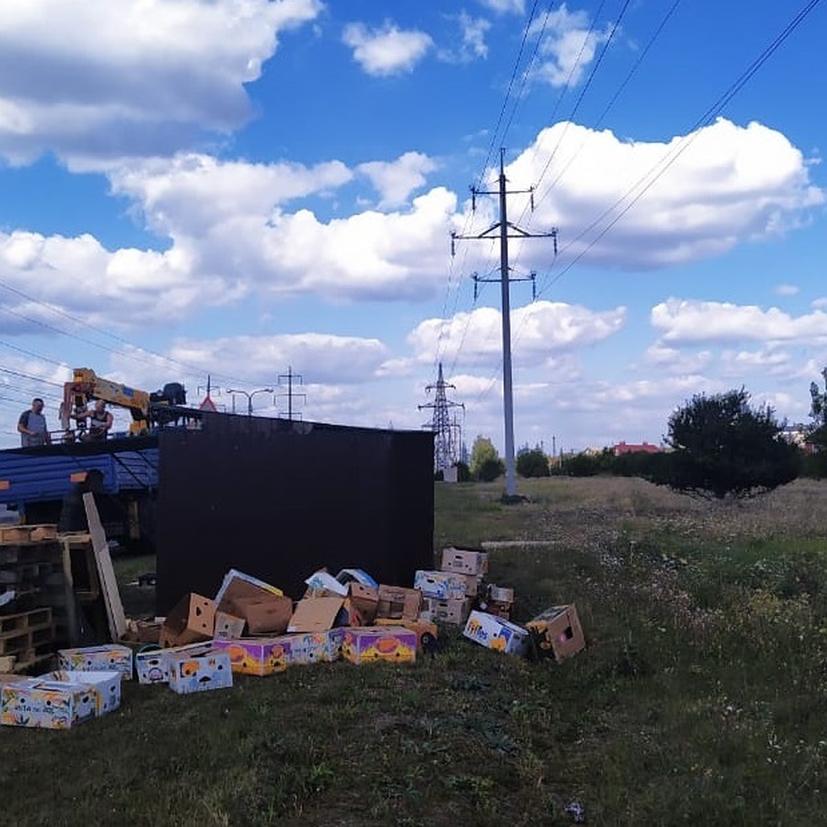 В Белгородской области энергетики зафиксировали 273 нарушения охранных зон  ЛЭП - KP.RU