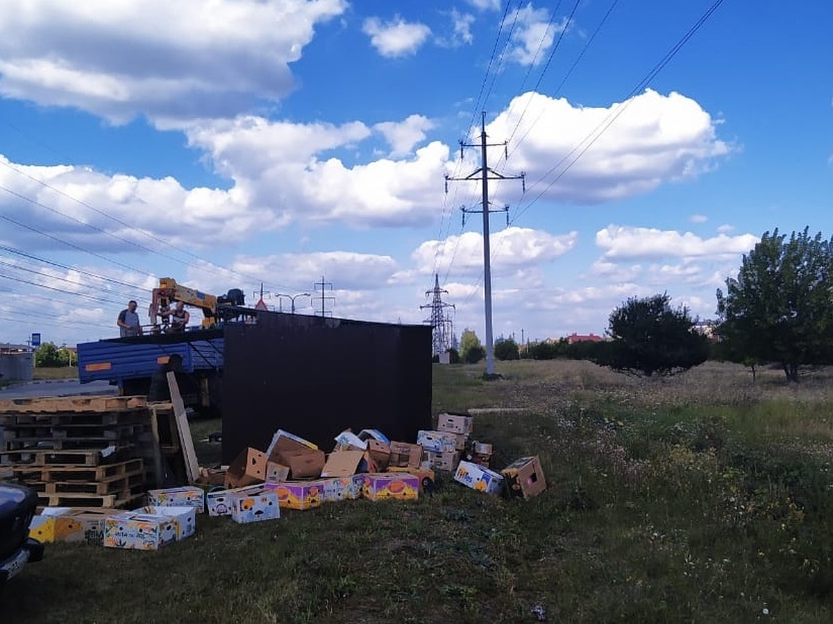 В Белгородской области энергетики зафиксировали 273 нарушения охранных зон  ЛЭП - KP.RU