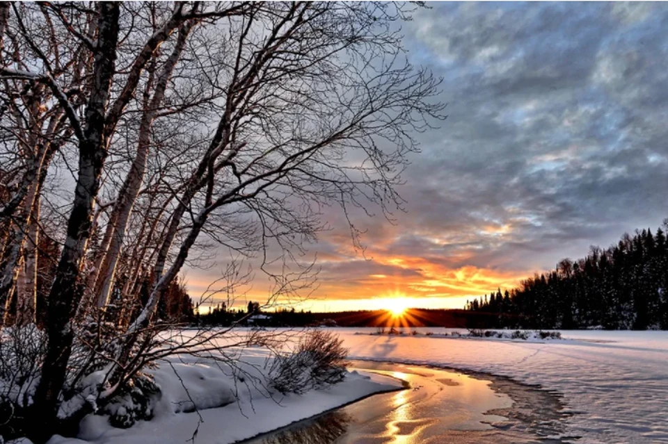 Фото: pixabay.com