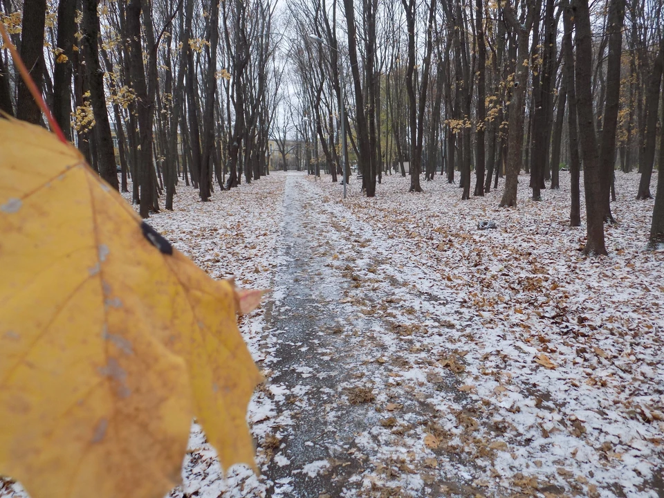 В Белгороде выпал первый снег.
