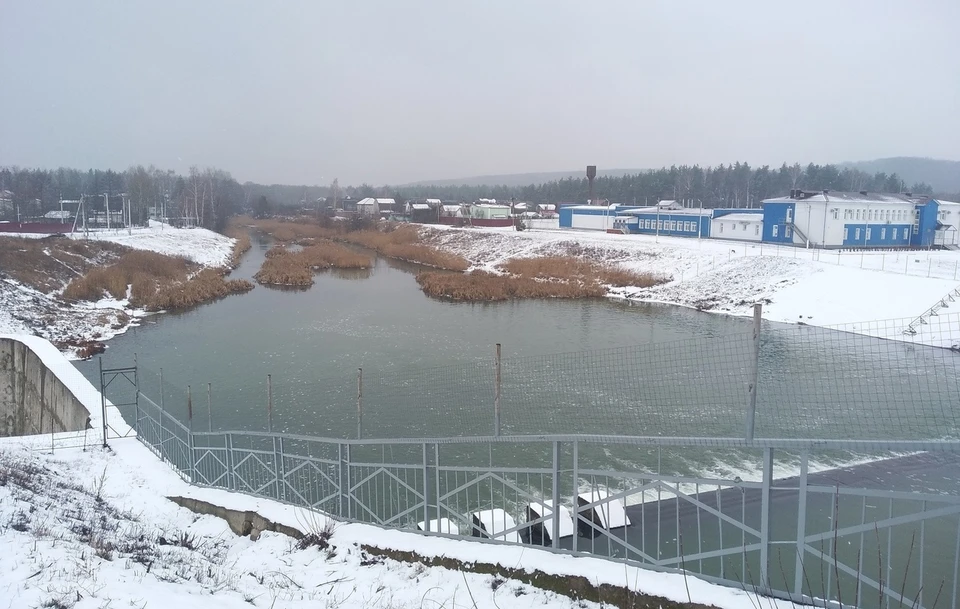 За осенне-зимний период 2019-2020 годов на водоемах Курской области погибли 18 человек