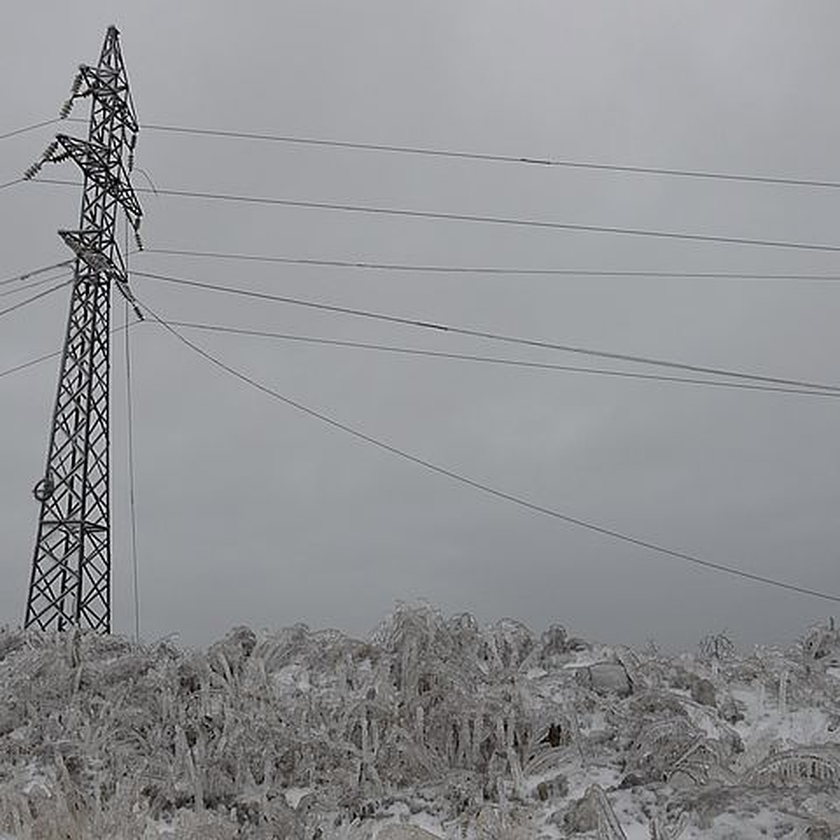 На энергообъектах Приморья продолжаются аварийно-восстановительные работы -  KP.RU