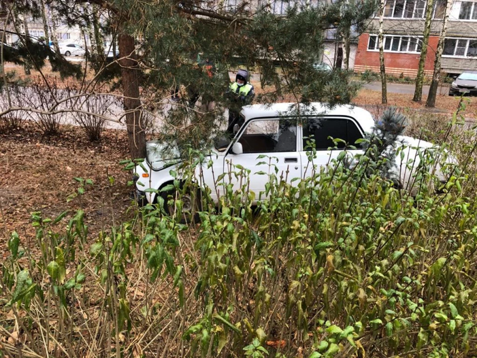 Фото: УМВД по Рязанской области.