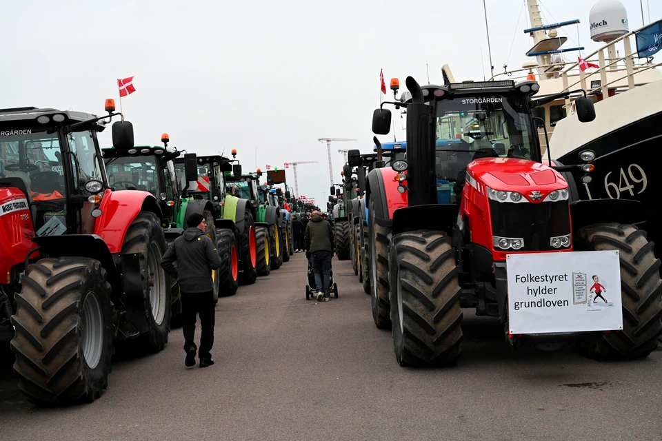 Датские фермеры устроили «тракторный протест» против массового убийства норок