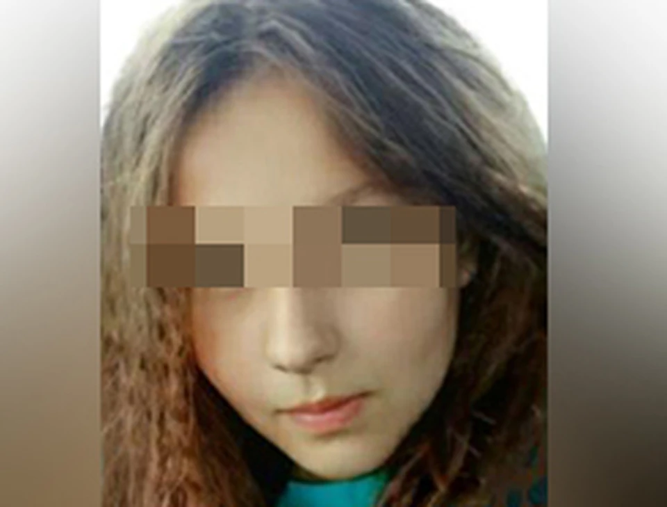 Волонтеры рассказали, где пропадала 11-летняя девочка в Нижнем Новгороде