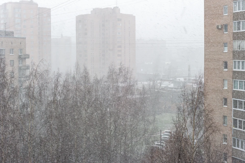 В Ленобласти ожидаются снежные выходные 28 и 29 ноября