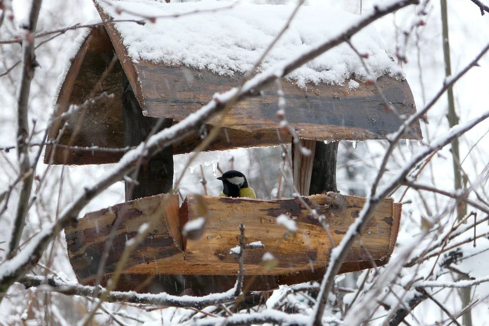В Югре ожидается пасмурная погода, пройдет небольшой снег. Фото - pixabay.com.