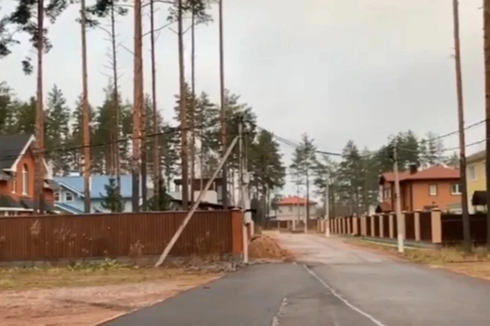 Арестован один из мошенников, "отжимавших" земли в коттеджном поселке в Белоострове. Фото: ГУ МВД по СПб и ЛО