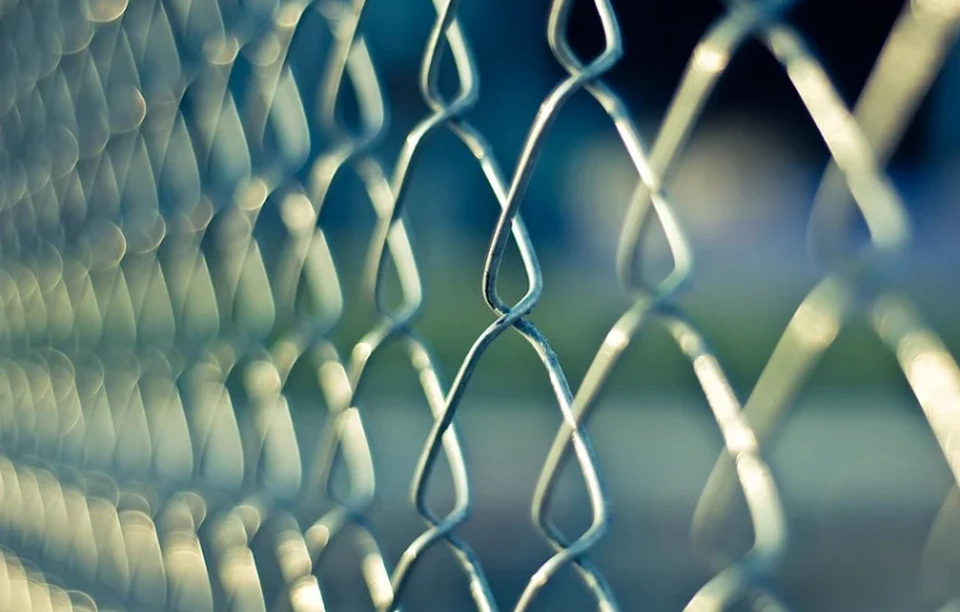 Фото: pixabay.com