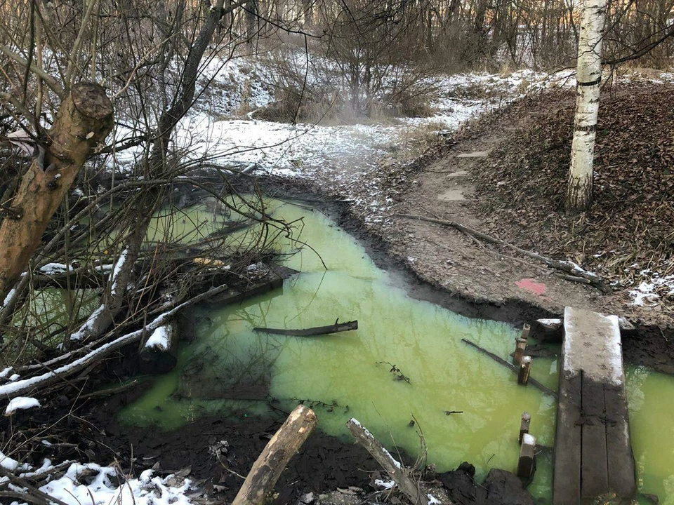 «Квадра» прокомментировала появление зеленой воды в парке «Соловьиная роща». Фото: ВКонтакте.